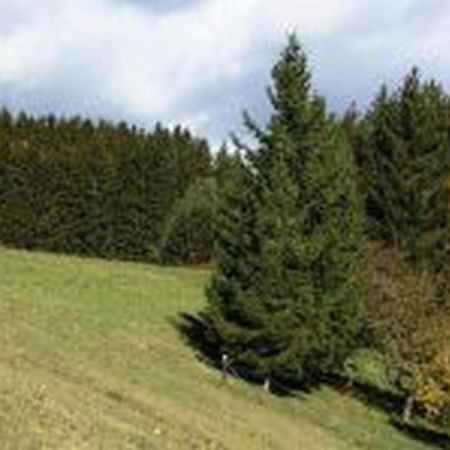 Landgasthof Hauser Immendingen Dış mekan fotoğraf