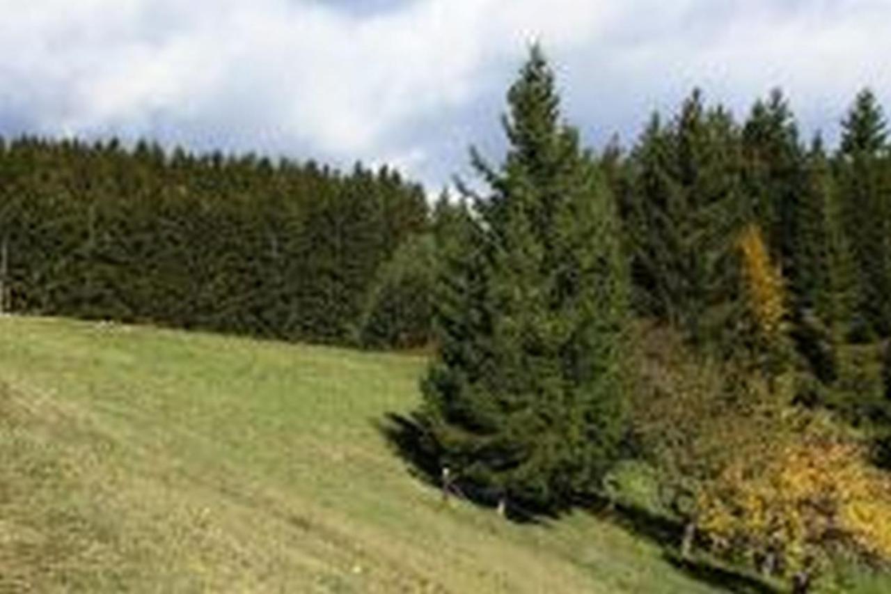 Landgasthof Hauser Immendingen Dış mekan fotoğraf